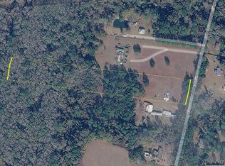 0 Park Street Ext, Ray City, GA 31645