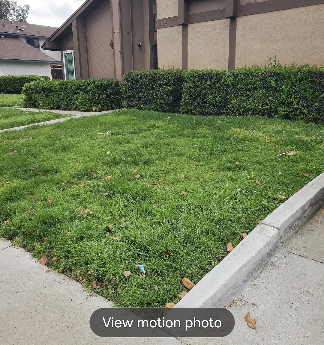 3 bed, 1.5 bath, 1100 sqft, $3,100 — Photo 1