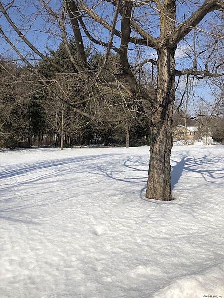 3rd image of 0 GRAY Avenue