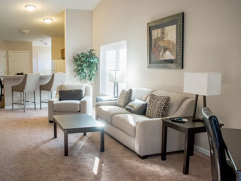 Beautiful Layouts Full of Natural Light