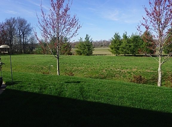 Property line goes to tree line