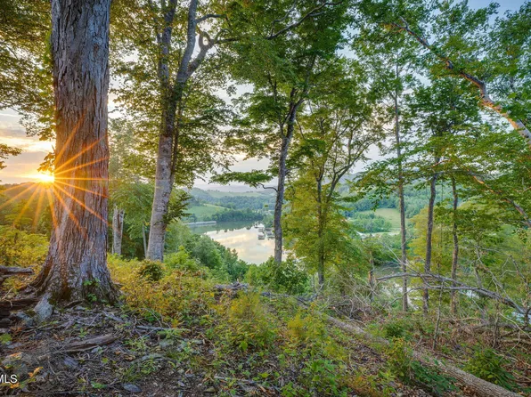 24 Cowan Town Rd, Butler, TN 37640