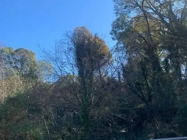 717 Emily St SE, Gainesville, GA 30501