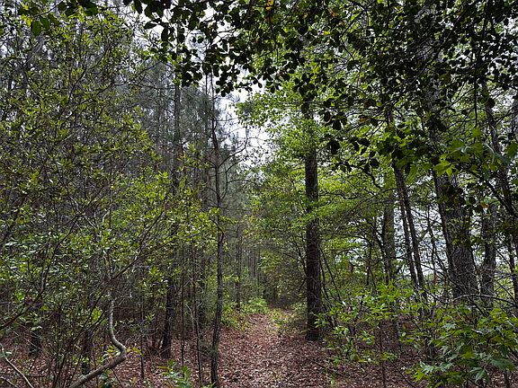2nd image of 0 Turnpike Rd
