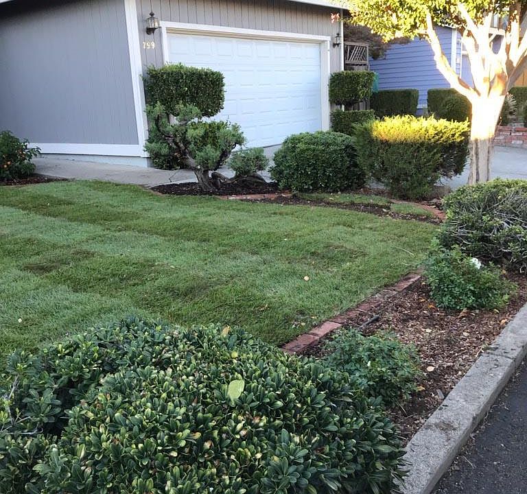 2nd image of 799 Country Meadow Ln