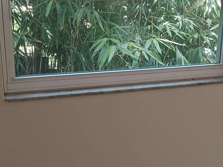 2nd window in main bedroom