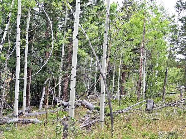 171 Spokane Ct, Red Feather Lakes, CO 80545