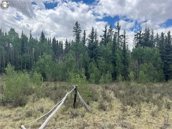 557 Rawhide Way, Como, CO 80432