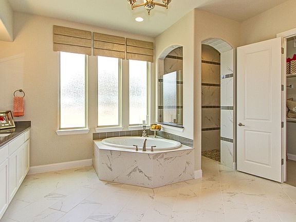 Luxurious owner's bath