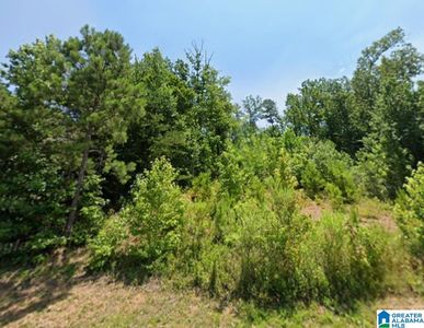 6130 Eagle Point Cir Lot 803, Birmingham, AL, 35242