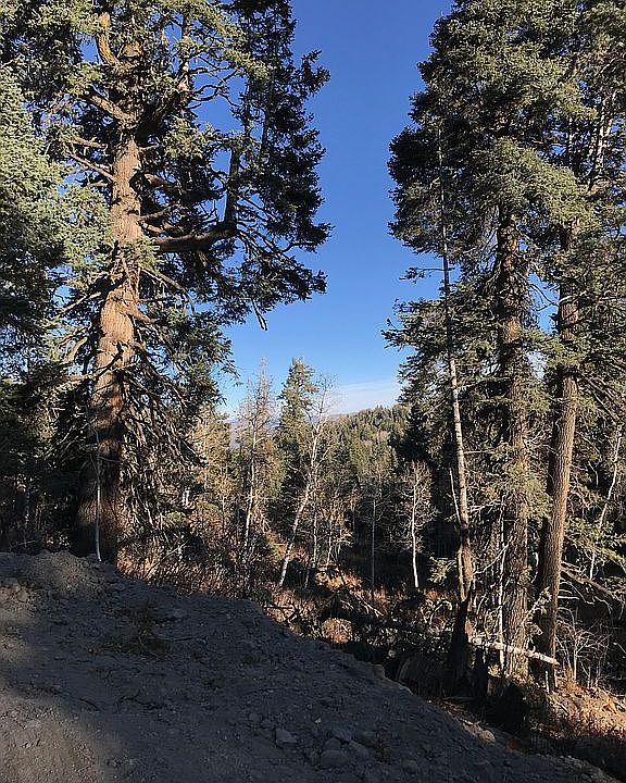 2nd image of 2261 S Navajo Rd
