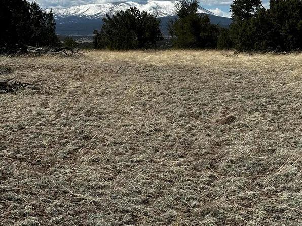 4 Loren Dr, Quemado, NM 87829