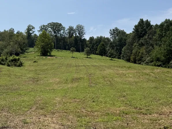 0 Highway 13 S Lot 1, Waverly, TN 37185