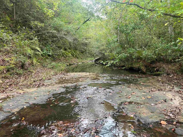 1688 Peyton Mountain Rd, Dennard, AR 72629