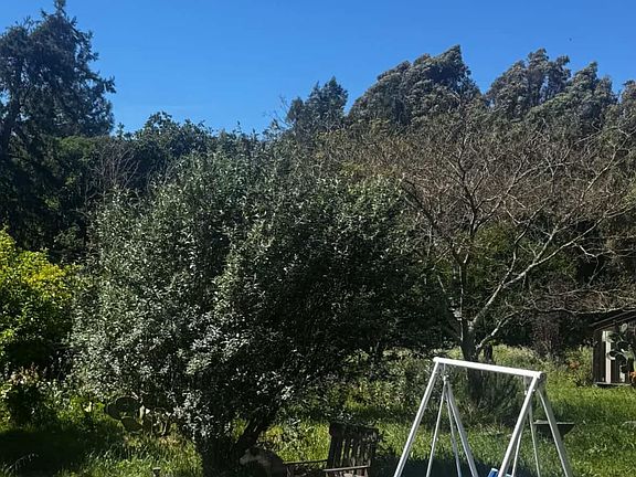 2nd image of 5650 Volkerts Rd
