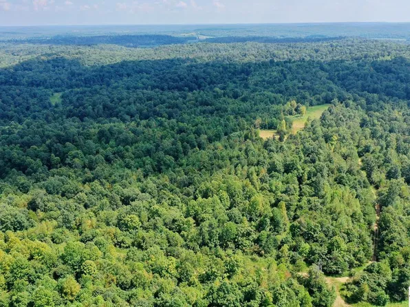 0 Donahue Rd, Princeton, KY 42445