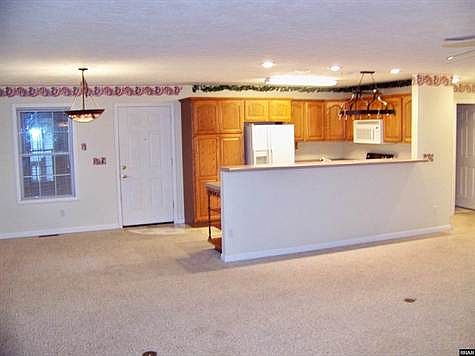 Bright cheery open flow