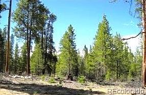 2nd image of 891 Peak View Dr