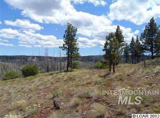 Tbd Allen Sub Divsion LOT 38, Pomeroy, WA 99347
