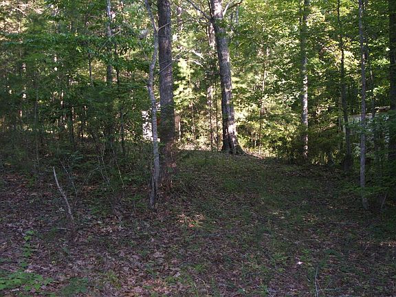 5th image of 355 Whitney Ln Lot 5
