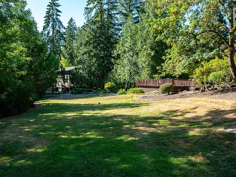 Timberlee — Photo 9
