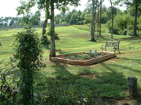 Yard Landscape