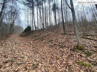 Rabbit Ridge Run, Vilas, NC 28692