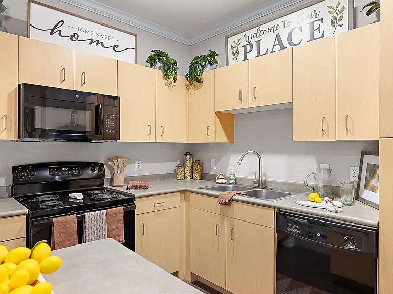 Artisan Apartments & Shops in Austin Texas