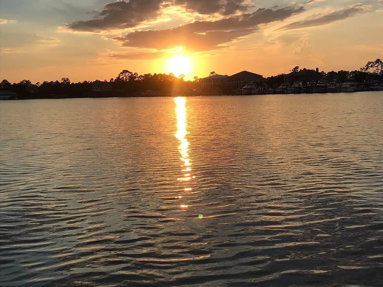 4 bed, 2.5 bath, 2000 sqft, $3,600 — Photo 2