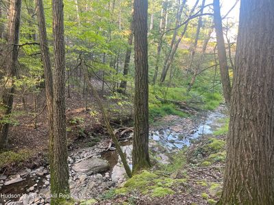 129 Bailey Road, Purling, NY, 12470