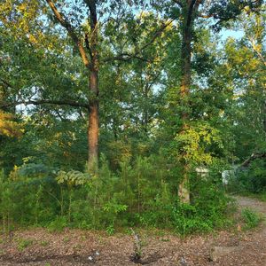 3840 Gorman Rd, Shreveport, LA, 71107