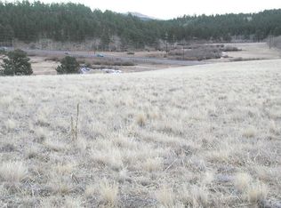 27 Bull Dogger Dr, Bailey, CO 80421