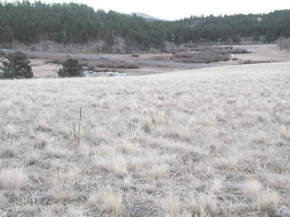 27 Bull Dogger Dr, Bailey, CO 80421