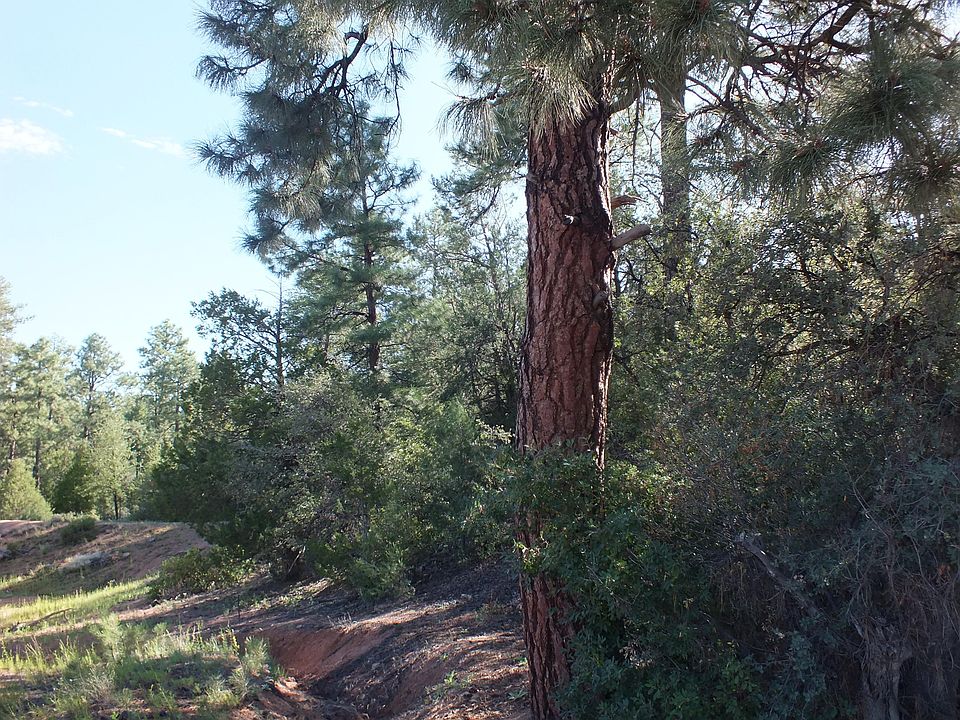 2nd image of 203 S Thunder Mtn