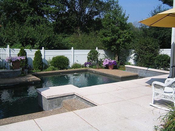 Architectural Pebble Tec Pool