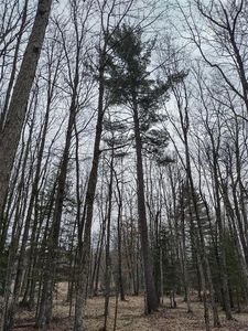 Lot 1 XXX Blaiszik's Bay Lane, Hayward, WI, 54843