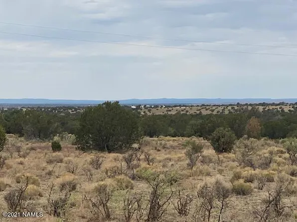 10187 S Cougar Ct, Williams, AZ 86046