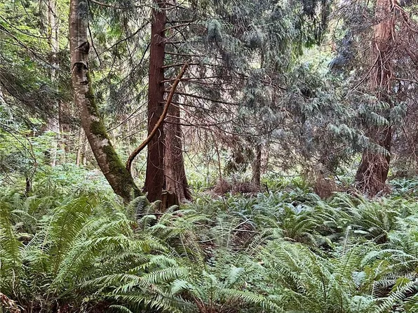 0 Lots 1-4 Hendricks Street, Port Townsend, WA 98368