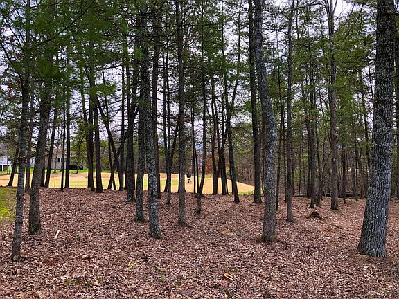 3rd image of 0 Tremont Dr Lot 24