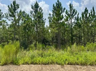 0 49th Trl NW, Jasper, FL 32052