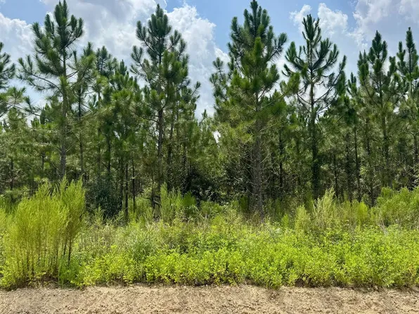 0 49th Trl NW, Jasper, FL 32052