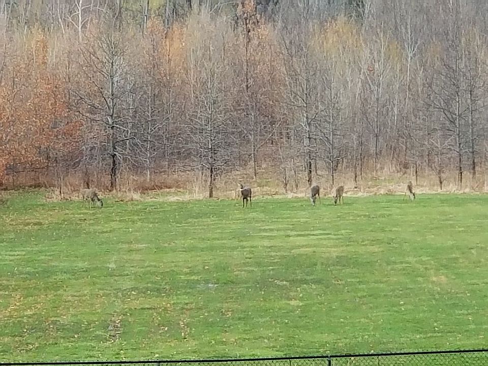 2nd image of 74 Bailey Rd