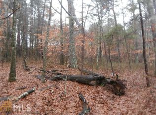 10 Univeter Rd, Canton, GA 30115