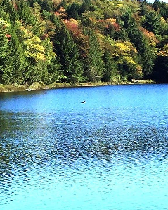1st image of 487 Woodworth Lake Rd