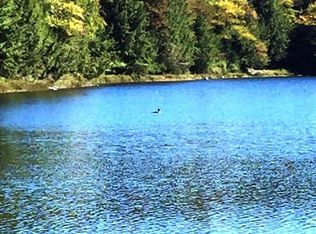 487 Woodworth Lake Rd, Gloversville, NY 12078
