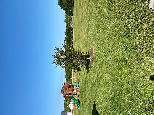 Back yard view