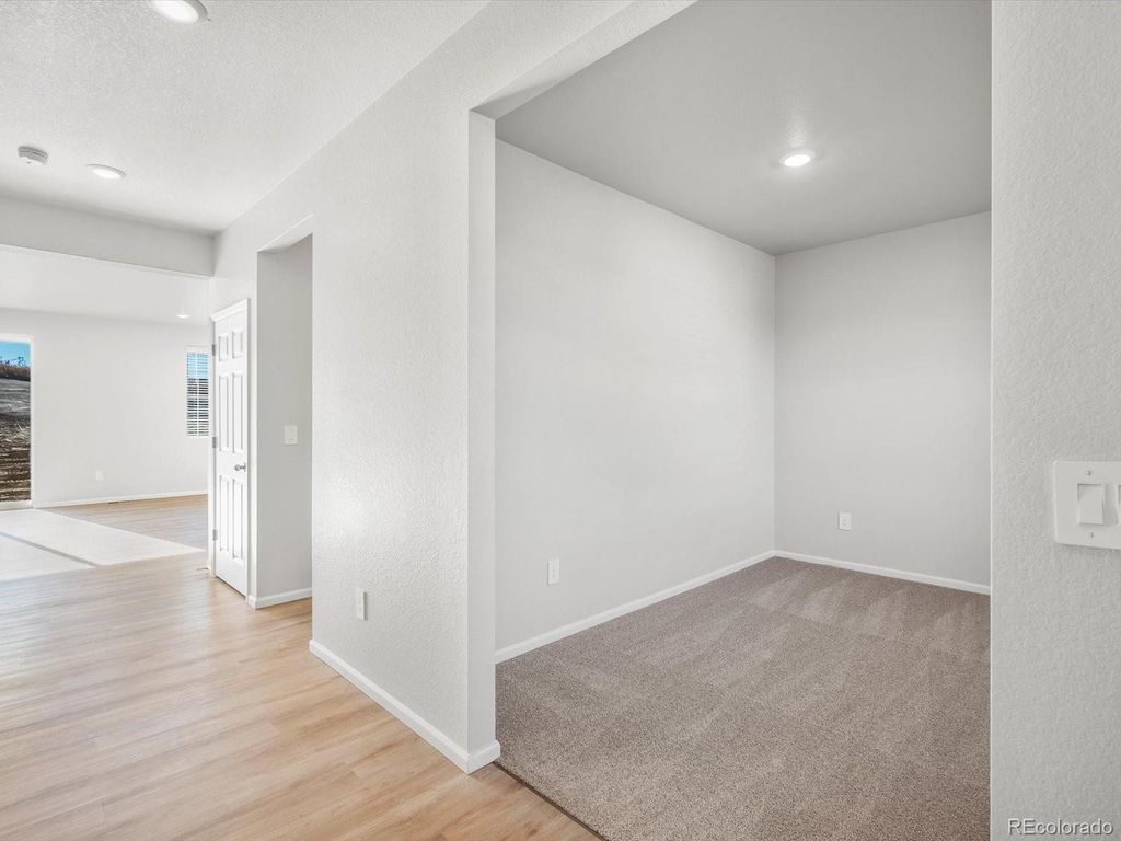 1206 Spring Creek Drive