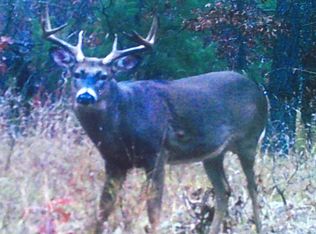 00 Bamfield Rd., South Branch, MI 48761