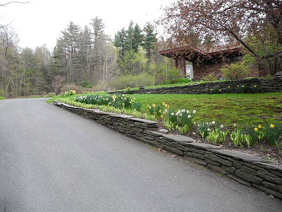 Driveway Early Spring