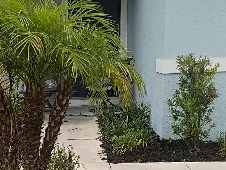 11752 Moonsail Dr — Photo 3